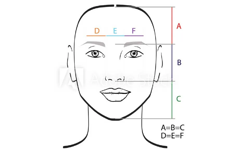 Perfect shape and alignment of parts in face diagram | Rawnsley Plastic Surgery in Los Angeles, CA